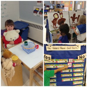pic collage bear inquiry 1